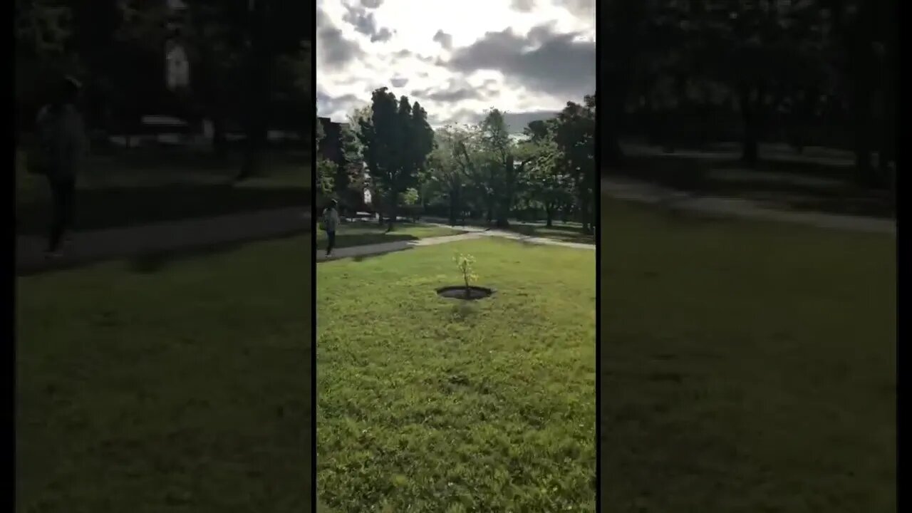 Cloudy yet sunny day ⛅️