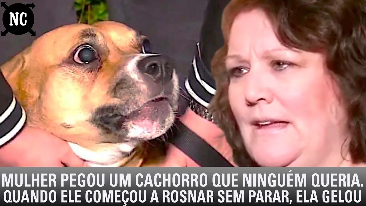 Mulher pegou um cachorro que ninguém queria. Quando ele começou a rosnar sem parar, ela gelou