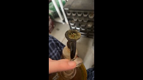 Day 28 pt2 I’m trying to keep the wax until the 28th lol