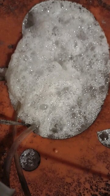 This plant feed is ready