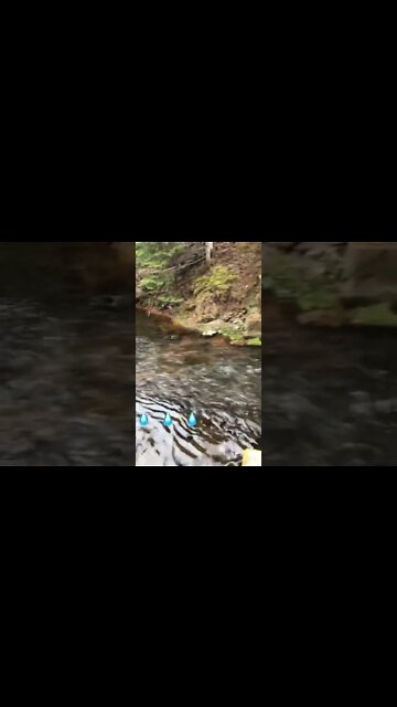 Water under a bridge