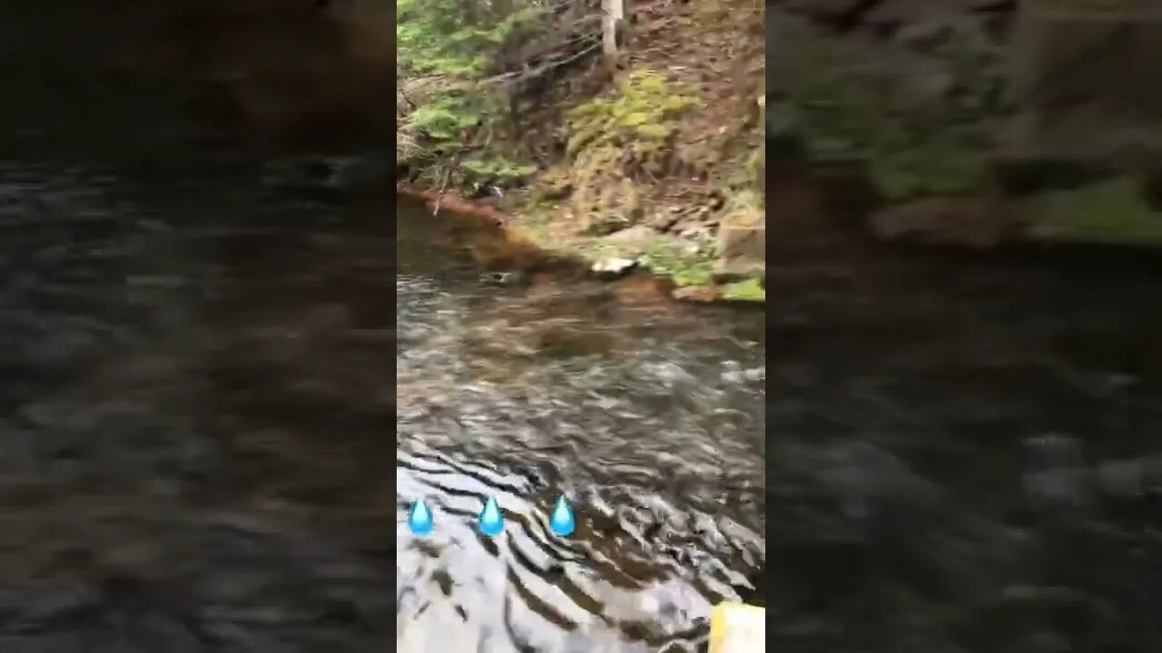 Water under a bridge