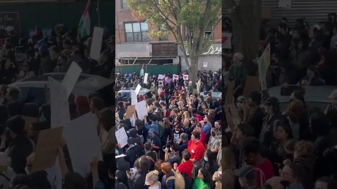 Pro Palestinian Protests In Brooklyn #stoptheviolence