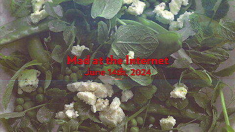 The Biggest Problem with Mint Salad (June 14th, 2024) - Mad at the Internet