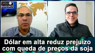 Dólar em alta reduz prejuízo com queda de preços da soja. Hedge ampliaria proteção