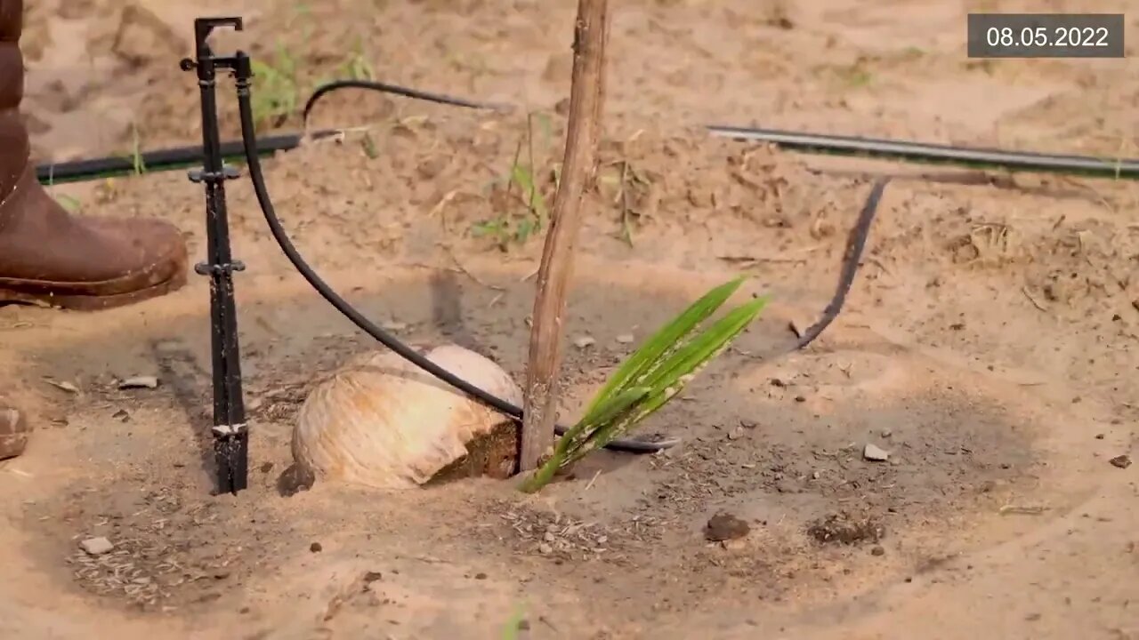 ដូង 08 05 2022