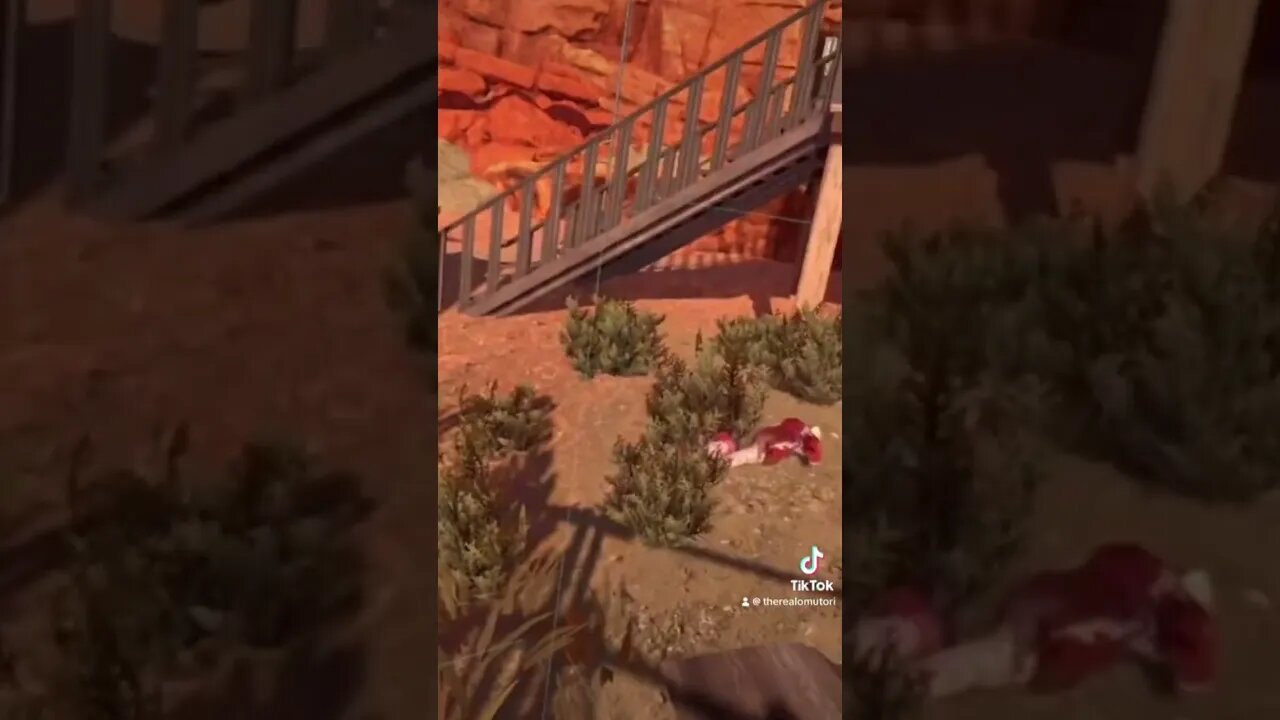 Flugzombie die 2te~ #twitchDE #anime #baka #birb #bird #stream #game #zombie #shooter #vr