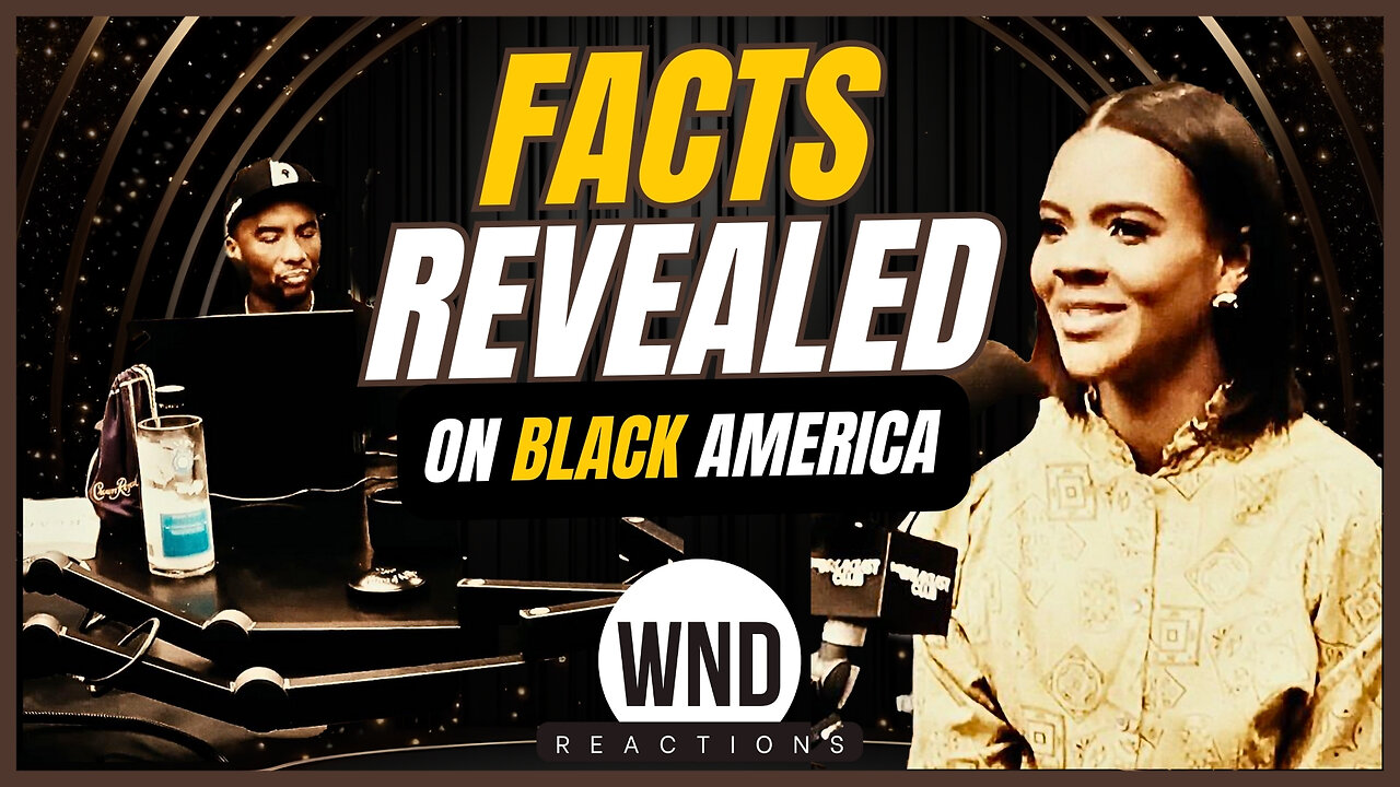 Candace Owens on Black America: 'Our biggest issue is fatherlessness'