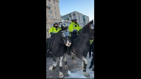 Ottowa police horses trample women 18 02 22