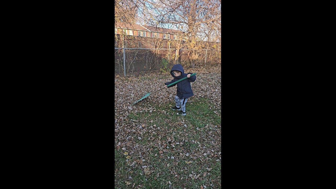 Tiny Hands, Big Helper: A 3-Year-Old’s Leaf-Raking Adventure