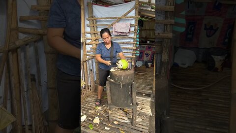 Cutting Coconut (Buko) pt2 #shorts #food #tropical