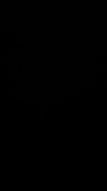 Smart money runs with the trends