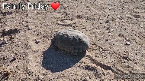 Family Friday ❤️ 6/17/22