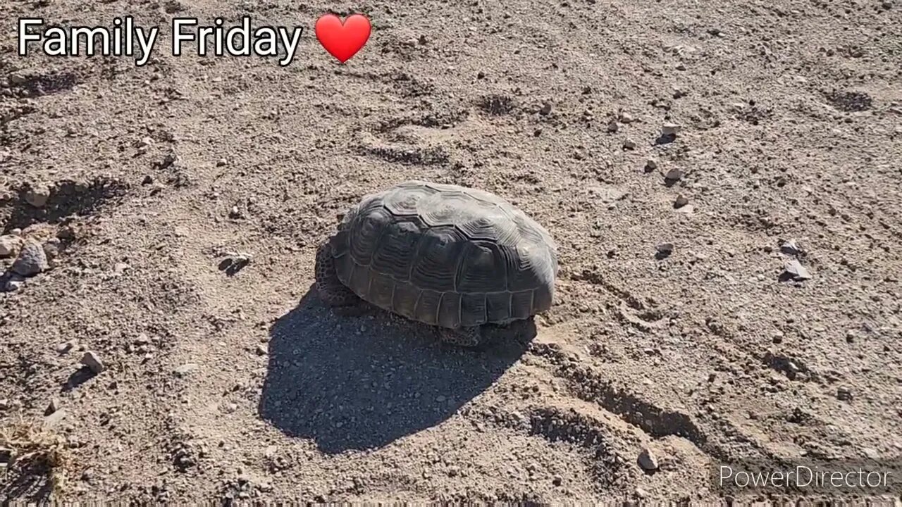 Family Friday ❤️ 6/17/22