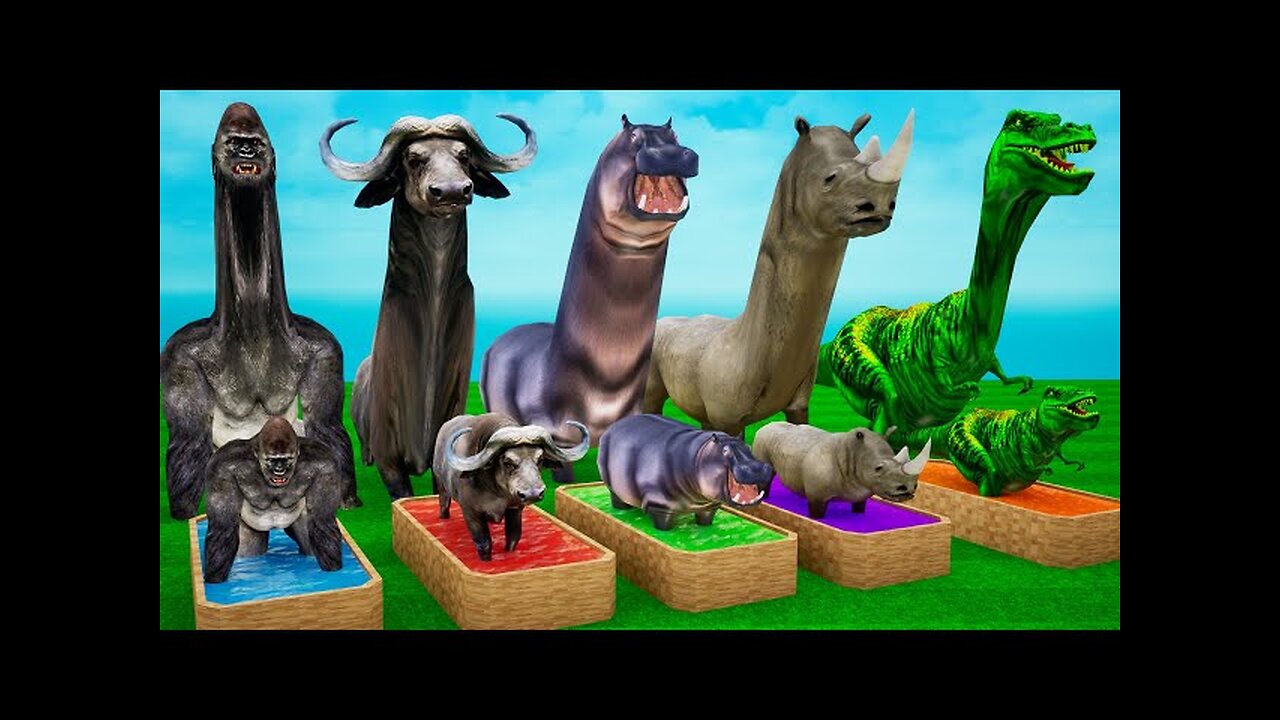 Mammoth Elephant Dinosaur Rhino Gorilla River Run - Animal 3D Animation