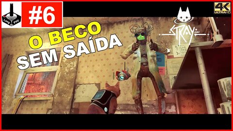 Capítulo 7: Beco Sem Saída | Dead End [Stray]