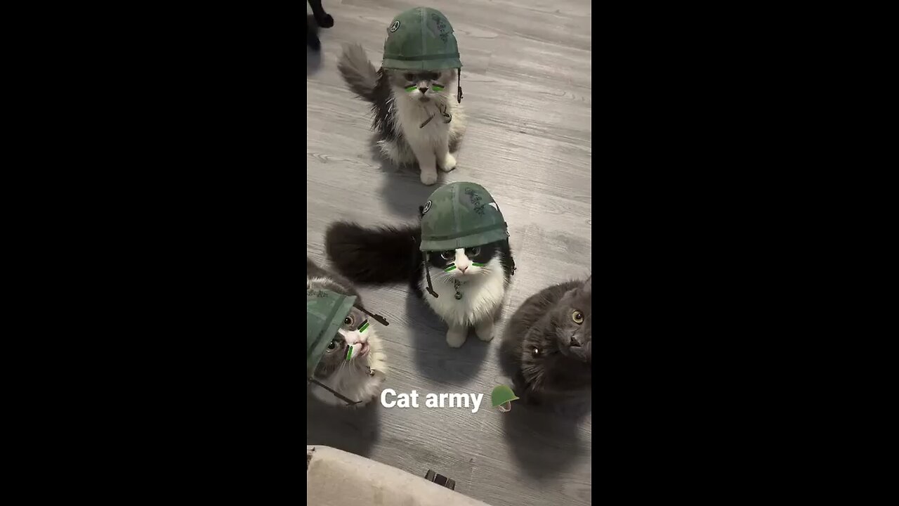Funny
