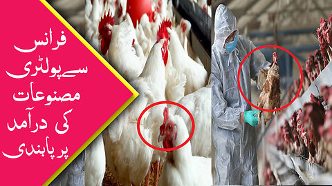 Ban on import of poultry products from France| Arab urdu News| Check Iqama