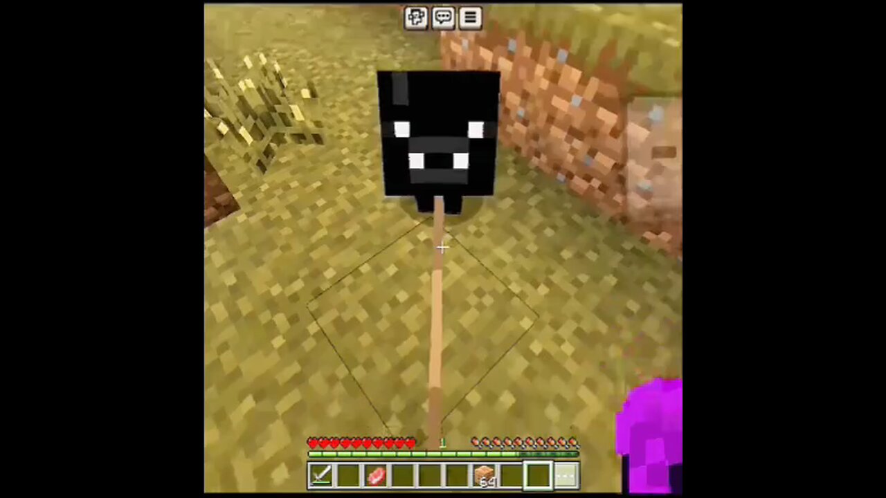 What on Earth did I just saw 😂😂 #minecraft #pig #gaming #meme