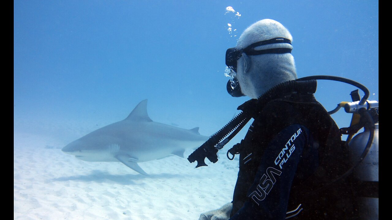 Skuba diving in Maldives |amazing skuba diving