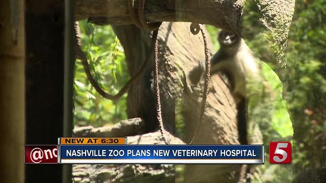 Nashville Zoo To Build $13M Veterinary Hospital