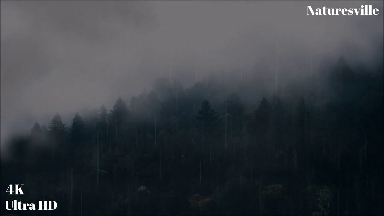 Cozy Rain On Mountain Top. Fog, Cloud And Rain For Relaxation & Natural Ambience.