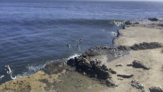 Santa Cruz surfers