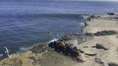 Santa Cruz surfers