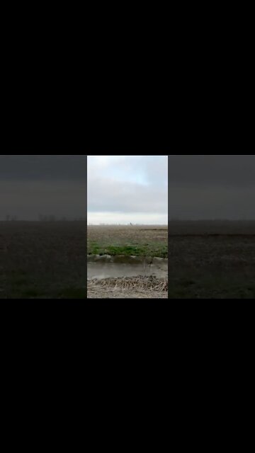 Ukrainian Javelin strike on a BM-21