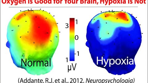 Hypocrites & Hypoxia: We Will Be Deeper Diving Stay Here or Jump Off!