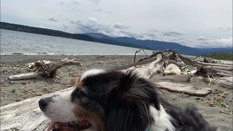 Driftwood sitting ;-)