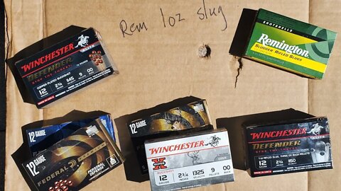 12 gauge SlugFEST! Bucks and Slugs. What's the Difference? What's BEST?