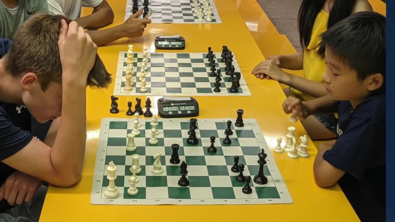 Local student wins NYS chess competition