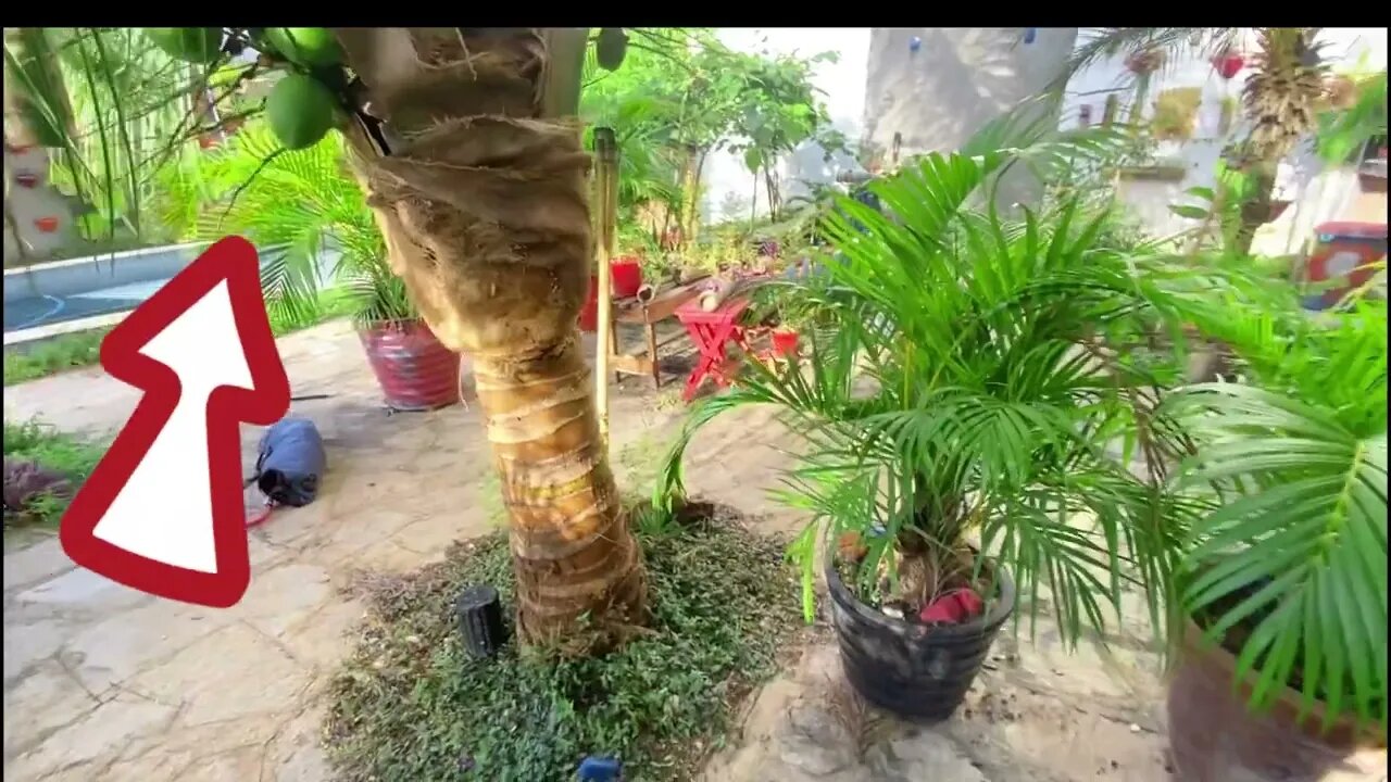 TREINO DE FARO ∑ ∏ C ® ∑ ∏ C Å