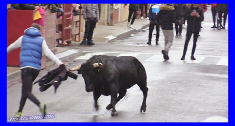 CASTEJON ( NAVARRA ) TARDE VACAS CALLE ( SABADO 1 ABRIL 2023 ) GANAD.SANTOS ZAPATERIA