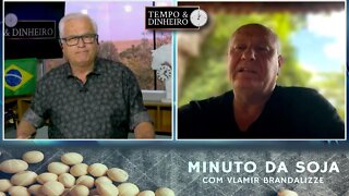 Soja voltou aos fundamentos com forte alta