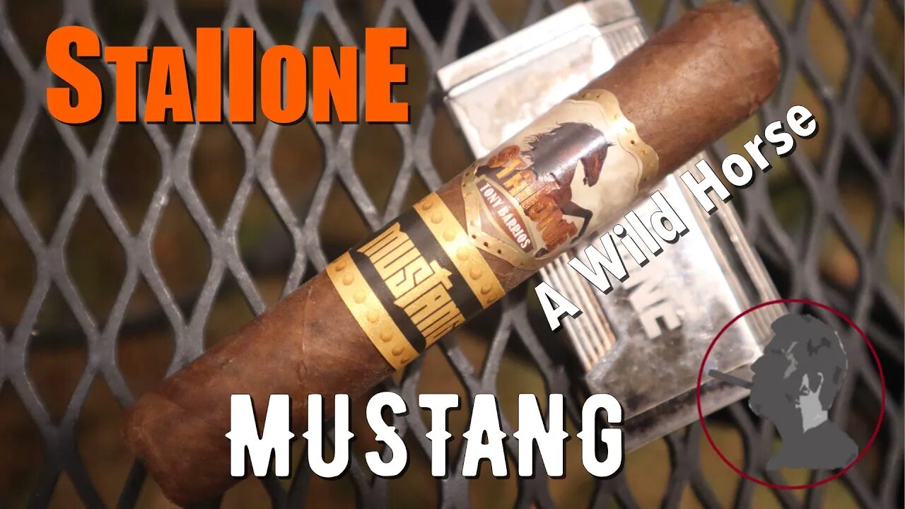 Stallone Mustang Rothschild, Jonose Cigars Review