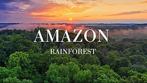 Amazon Rainforest - Free Documentary