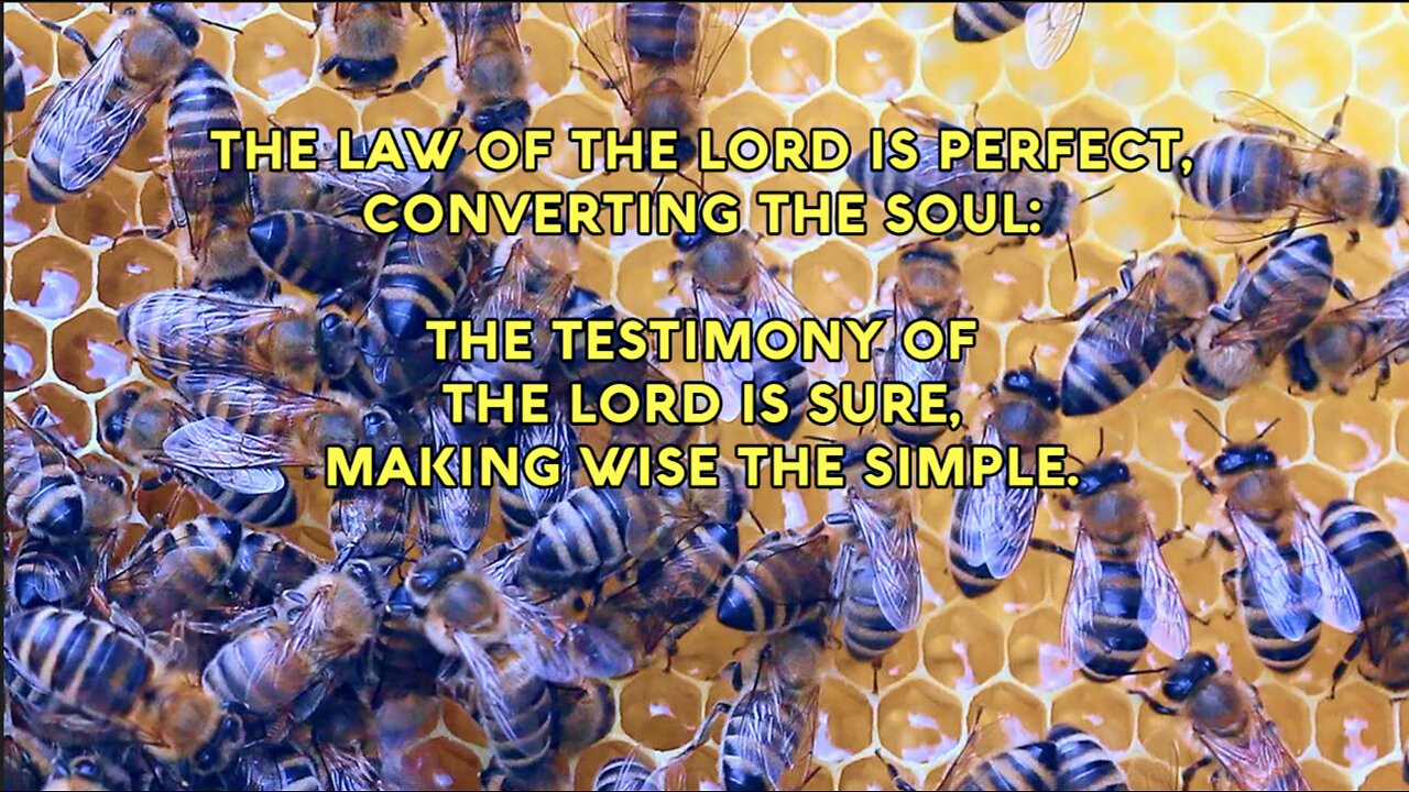 "The Law of the Lord is Perfect" - PSALM 19:7-11 Praise Song