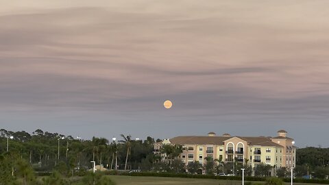 Little Wolf 🐺 Moon 🌚 1/6/2023 (Widescreen) #4K #HDR #DolbyVision