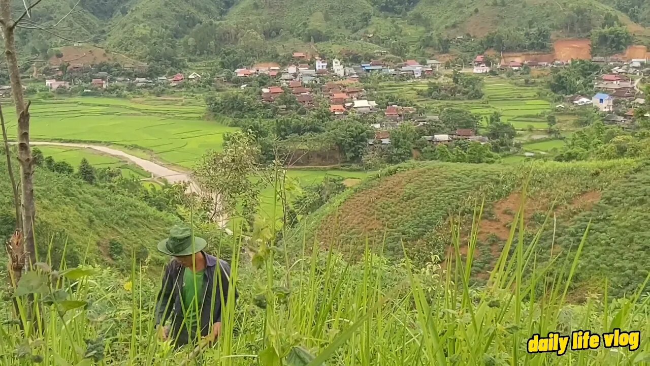 nature in the mountains | daily life vlog