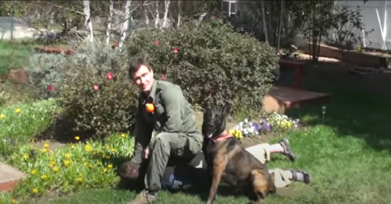 What to Do when a DOG attacks you? Defend yourself!