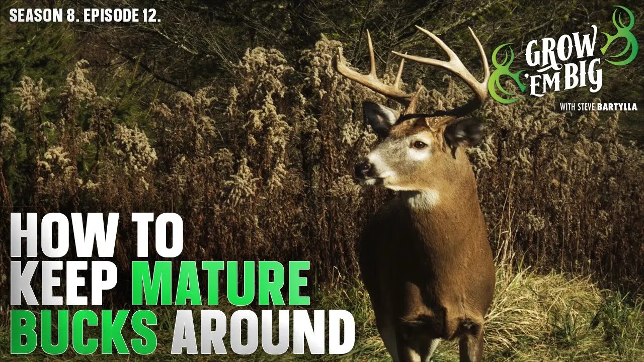 The Biggest Reason Mature Bucks Leave Your Land