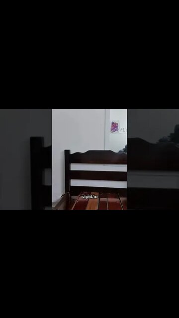 os melhores peidos 2023