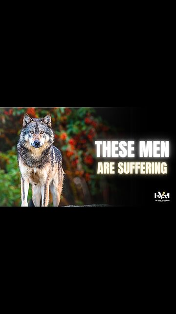 Don't Be A Lone Wolf if You Don't To End Like This 🐺👇