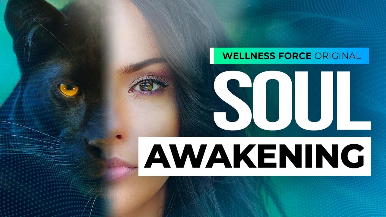 Release Your Animal Power: Energize Your Life and Awaken Your Soul | Wellness Force #Podcast