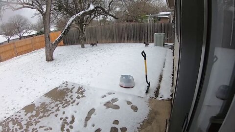 San Antonio Snow Feb18