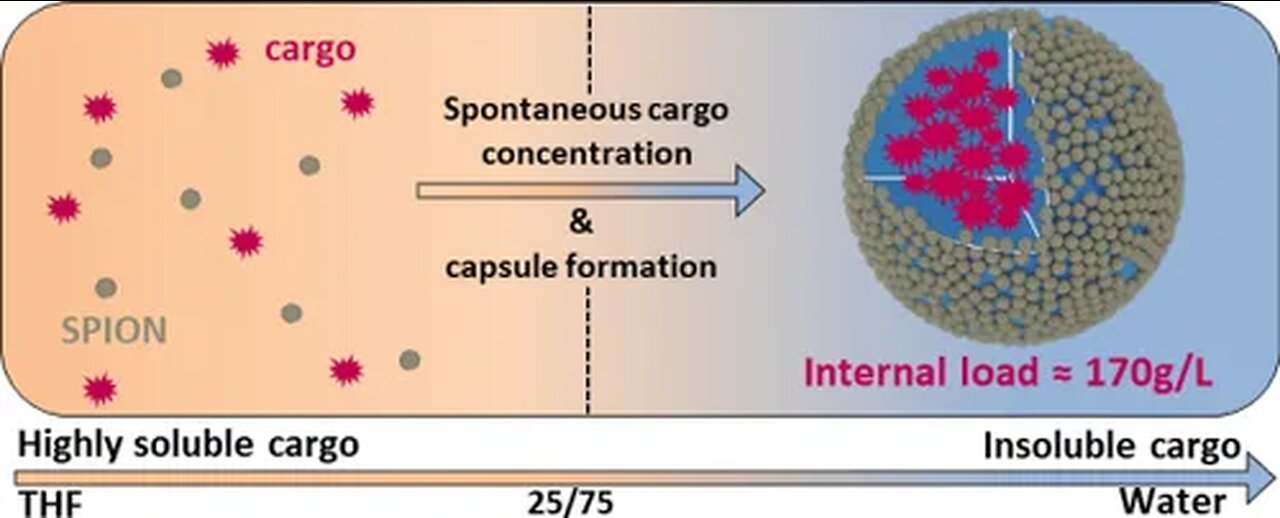 PAYLOAD: Nanocapsules