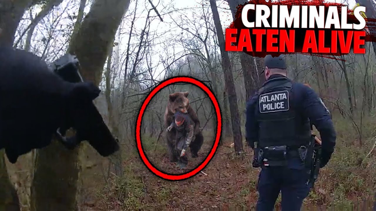 3 Criminals Met a Gruesome Fate While Running from Police!