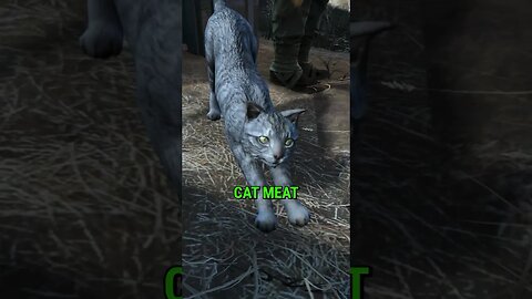 This Cat Trader Hides a Secret #fallout4 #Fallout #Shorts #fo4 #short